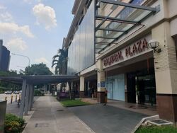 Dunearn Road (D11), Condominium #507201671